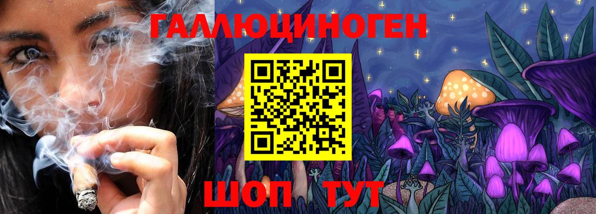 Галлюциногенные грибы Psilocybine cubensis  Вход с VPN  купить   Шали 